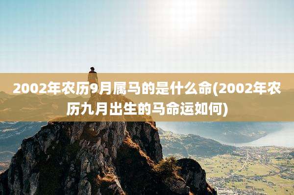 2002年农历9月属马的是什么命(2002年农历九月出生的马命运如何)