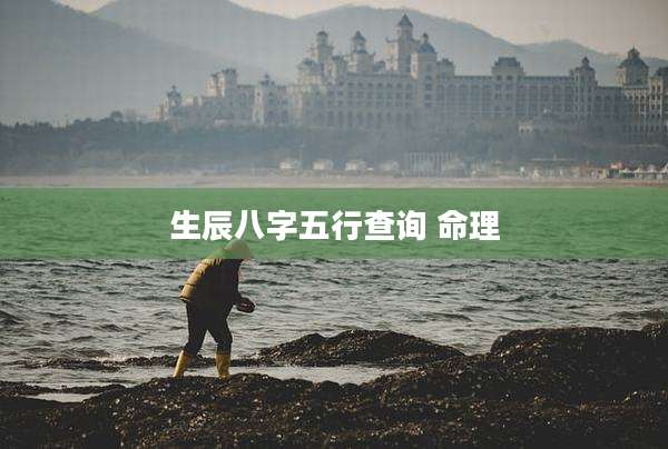 生辰八字五行查询 命理