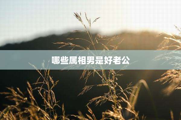 哪些属相男是好老公