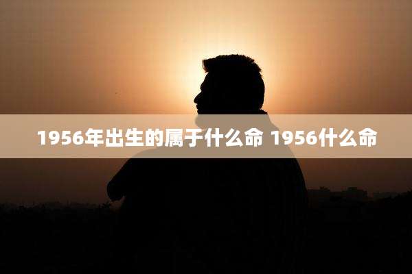 1956年出生的属于什么命 1956什么命