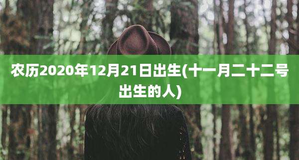 农历2020年12月21日出生(十一月二十二号出生的人)