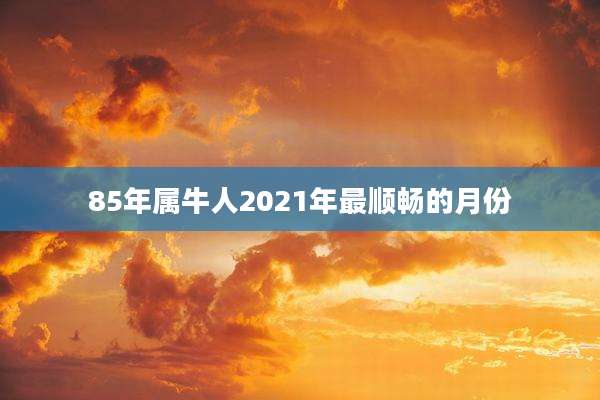 85年属牛人2021年最顺畅的月份