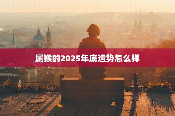 属猴的2025年底运势怎么样