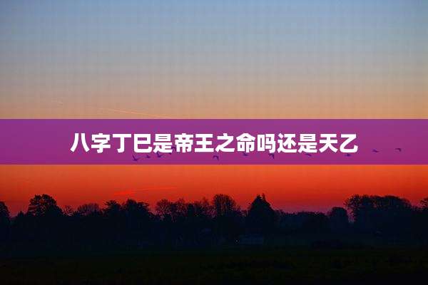 八字丁巳是帝王之命吗还是天乙