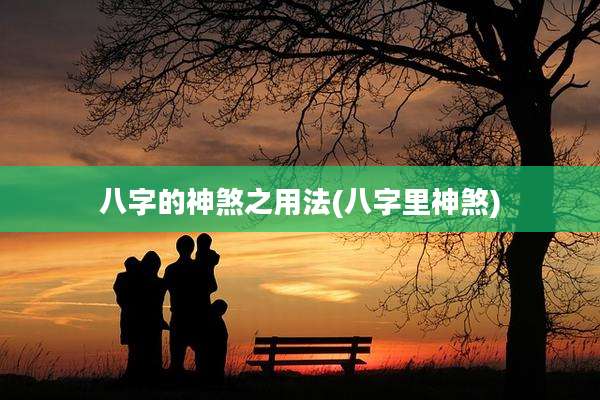 八字的神煞之用法(八字里神煞)