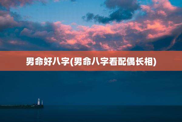 男命好八字(男命八字看配偶长相)