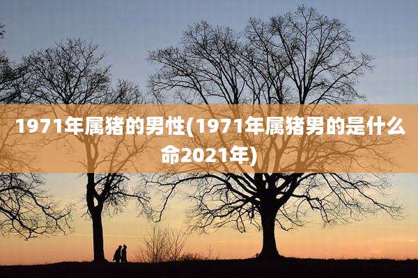 1971年属猪的男性(1971年属猪男的是什么命2021年)