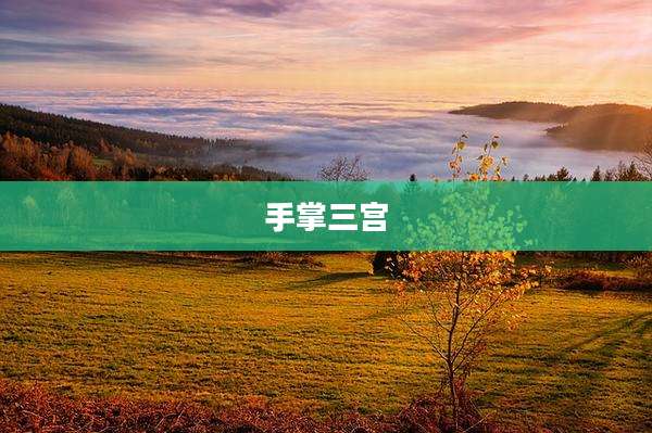 手掌三宫