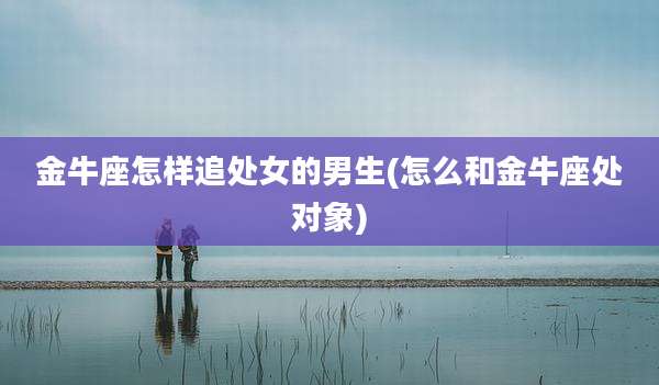 金牛座怎样追处女的男生(怎么和金牛座处对象)