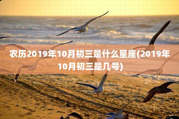 农历2019年10月初三是什么星座(2019年10月初三是几号)