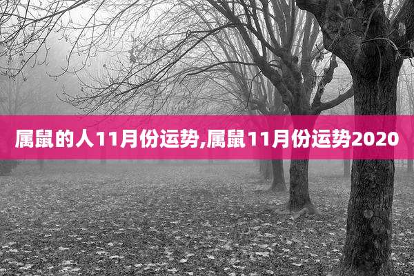属鼠的人11月份运势,属鼠11月份运势2020