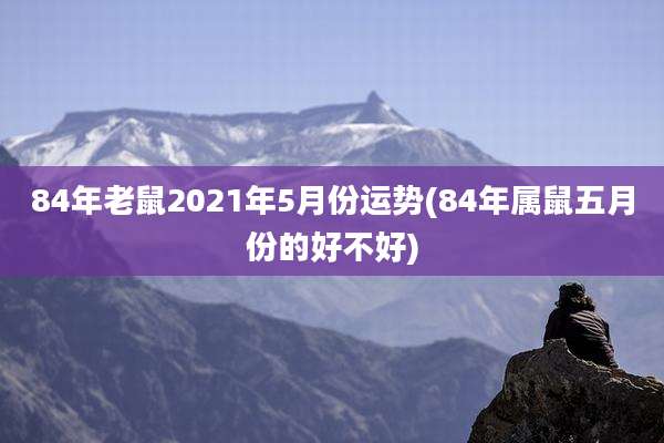 84年老鼠2021年5月份运势(84年属鼠五月份的好不好)