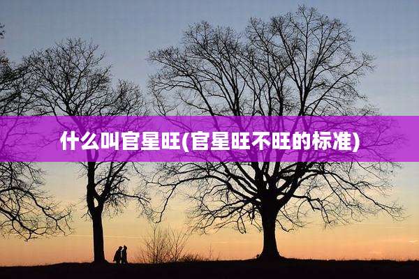 什么叫官星旺(官星旺不旺的标准)