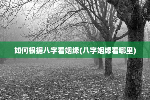 如何根据八字看姻缘(八字姻缘看哪里)