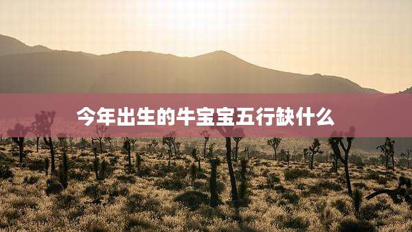 今年出生的牛宝宝五行缺什么