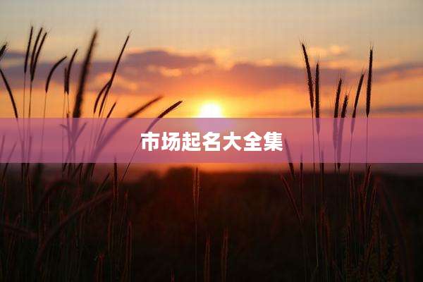 市场起名大全集