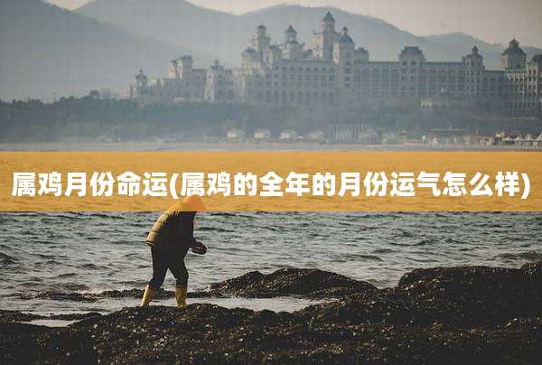 属鸡月份命运(属鸡的全年的月份运气怎么样)