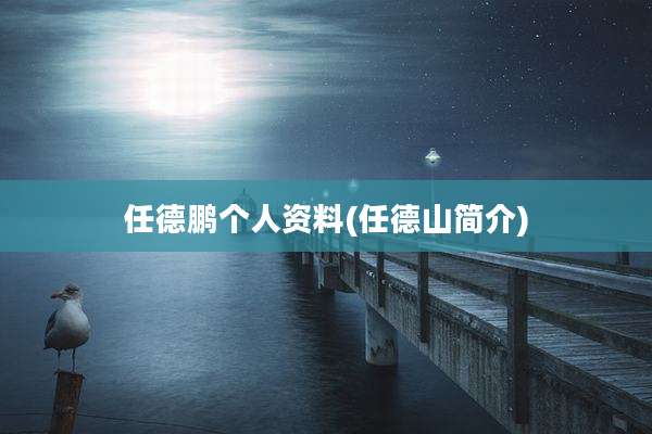 任德鹏个人资料(任德山简介)