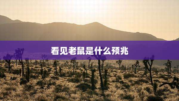 看见老鼠是什么预兆