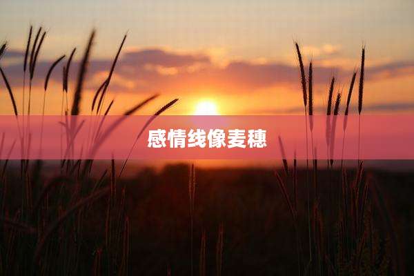 感情线像麦穗