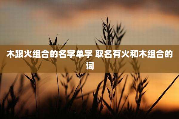 木跟火组合的名字单字 取名有火和木组合的词