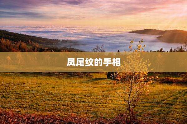 凤尾纹的手相