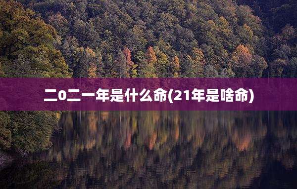二0二一年是什么命(21年是啥命)