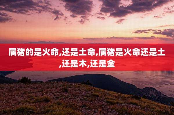 属猪的是火命,还是土命,属猪是火命还是土,还是木,还是金