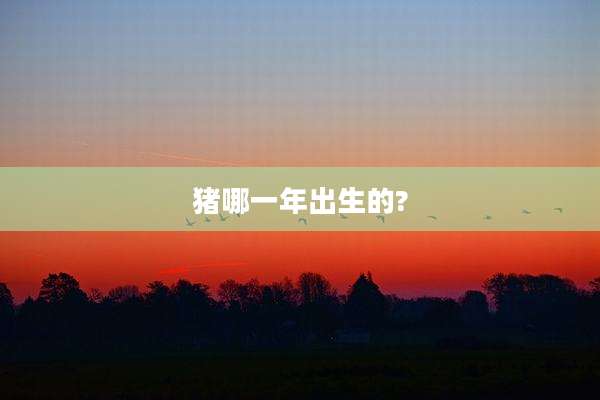 猪哪一年出生的?