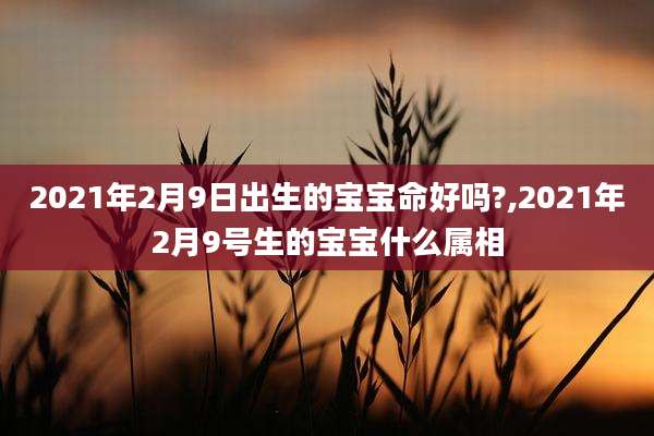 2021年2月9日出生的宝宝命好吗?,2021年2月9号生的宝宝什么属相