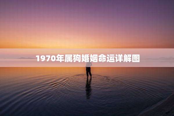 1970年属狗婚姻命运详解图