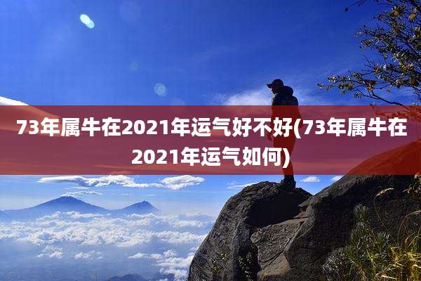 73年属牛在2021年运气好不好(73年属牛在2021年运气如何)