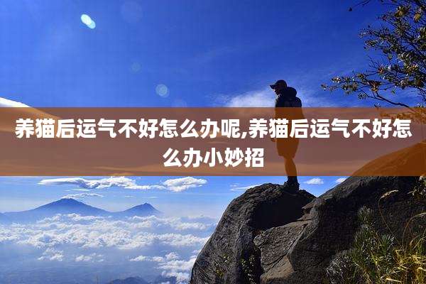 养猫后运气不好怎么办呢,养猫后运气不好怎么办小妙招