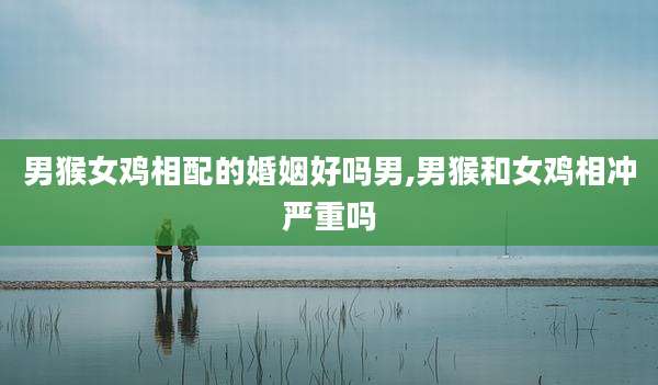 男猴女鸡相配的婚姻好吗男,男猴和女鸡相冲严重吗