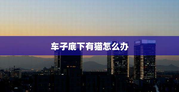 车子底下有猫怎么办
