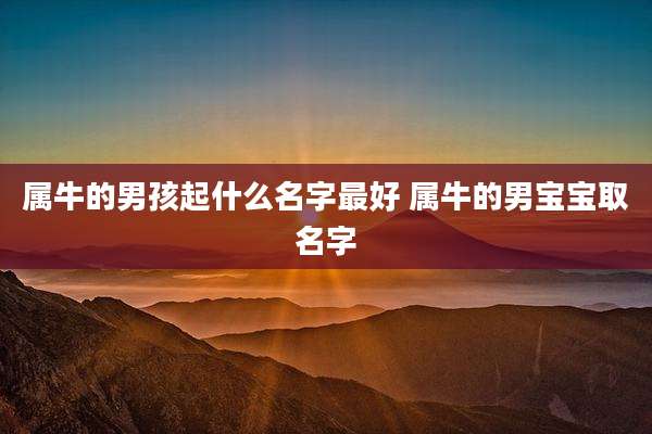 属牛的男孩起什么名字最好 属牛的男宝宝取名字