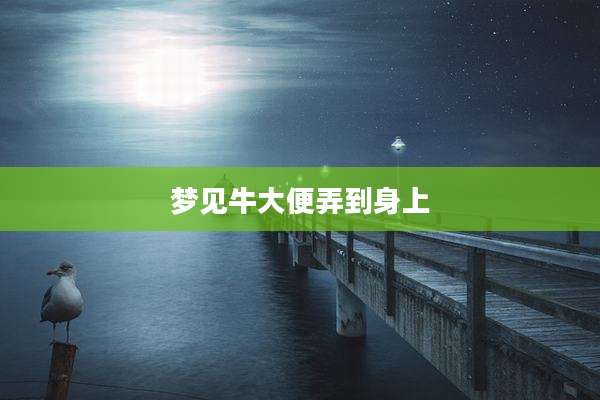 梦见牛大便弄到身上