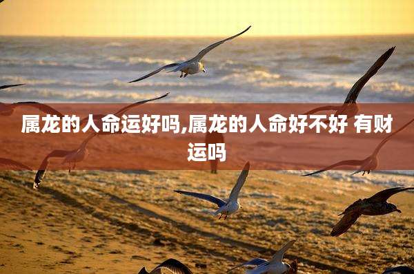 属龙的人命运好吗,属龙的人命好不好 有财运吗