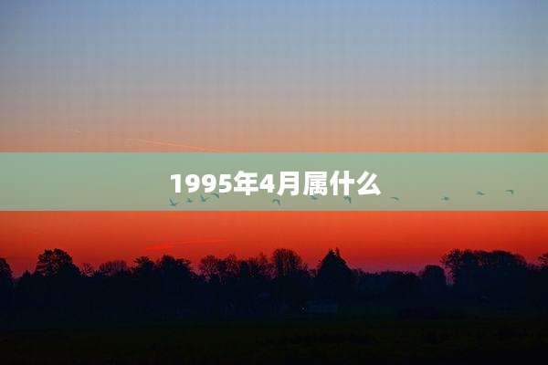 1995年4月属什么