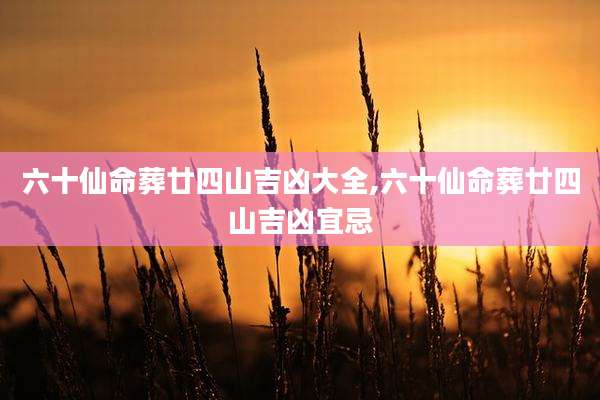 六十仙命葬廿四山吉凶大全,六十仙命葬廿四山吉凶宜忌