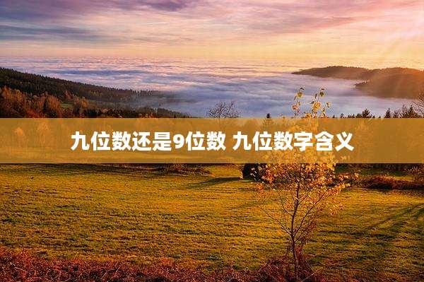 九位数还是9位数 九位数字含义