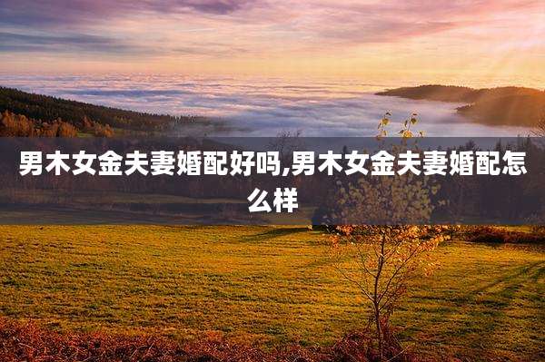 男木女金夫妻婚配好吗,男木女金夫妻婚配怎么样
