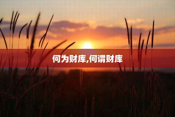 何为财库,何谓财库