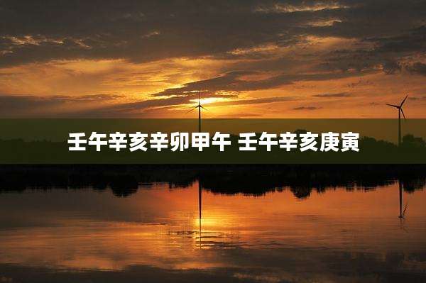 壬午辛亥辛卯甲午 壬午辛亥庚寅