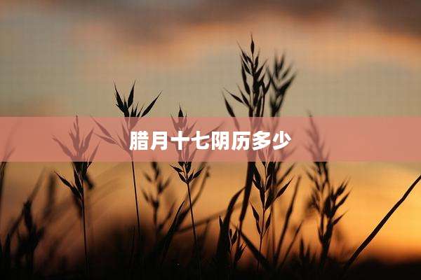 腊月十七阴历多少