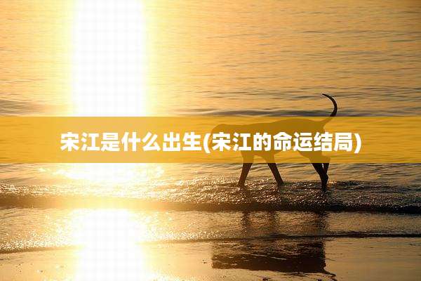 宋江是什么出生(宋江的命运结局)