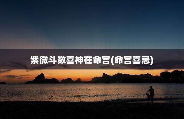 紫微斗数喜神在命宫(命宫喜忌)