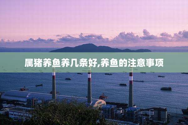 属猪养鱼养几条好,养鱼的注意事项
