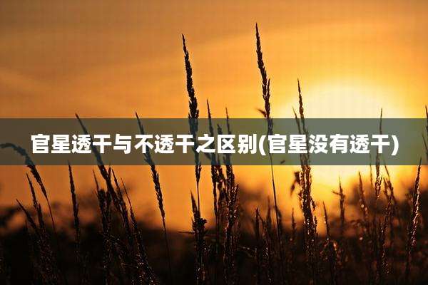 官星透干与不透干之区别(官星没有透干)