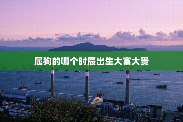 属狗的哪个时辰出生大富大贵